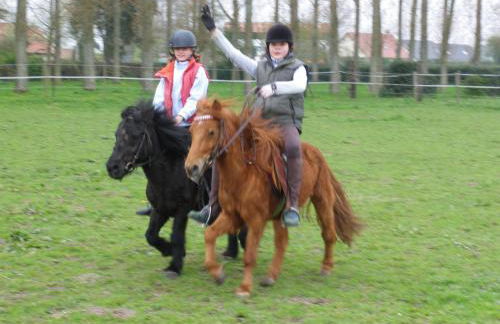 Gîte et Relais Equestre de Marie - Foto 37