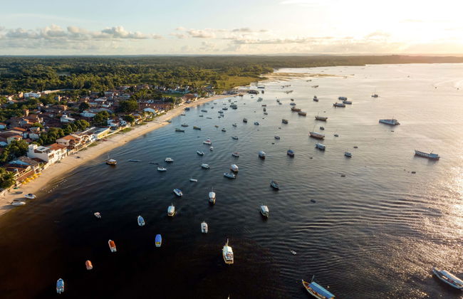 Excursión a Gamboa en barco - Foto 6