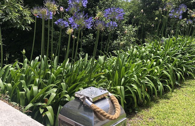 Quintinha de Palmyra - Foto 21