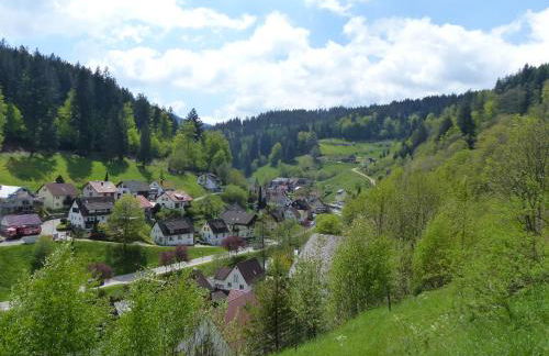 Ferienwohnungen in Schönmünzach - Photo 14