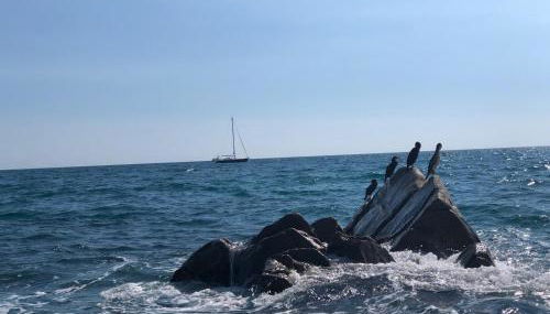 White Stones Beach In Sant Pol de Mar - Foto 4