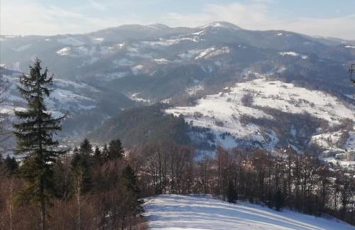 Apartament u Joli - Foto 40