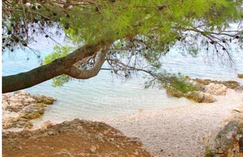 Apartments MIA Bilo 887 - Foto 87