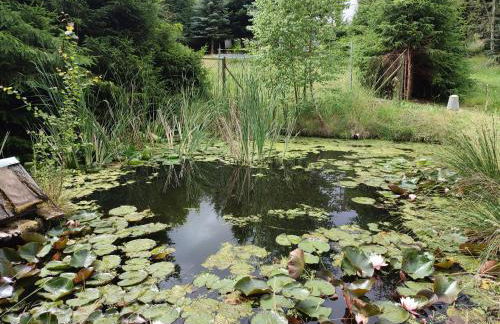 Haus "Grimberg" FeWo 1-Stock - Photo 42