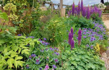 The Old Mill Cottage - Foto 42