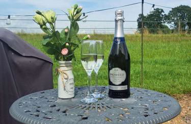 Luxury Shepherds Hut set in a countryside setting - Foto 23