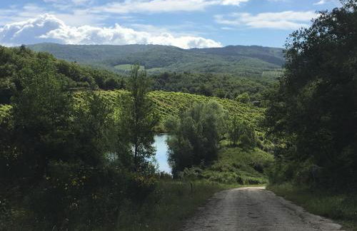 Podere Terreno alla Via della Volpaia - Foto 129