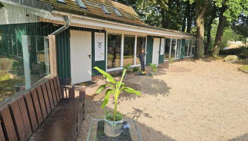 Ferienhaus Banana Lodge - Foto 2