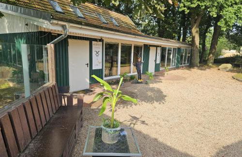 Ferienhaus Banana Lodge - Foto 2