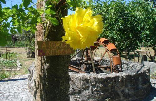 Casa das Palmeiras - Pedagogic Farm - Foto 100