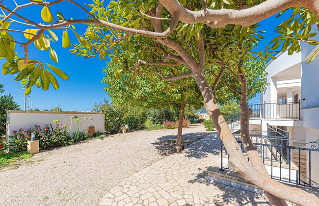 Mirto - Residenza Arcangela con Piscine nel Salento - Photo 34