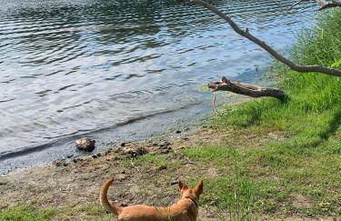 La Garrofera - Foto 25