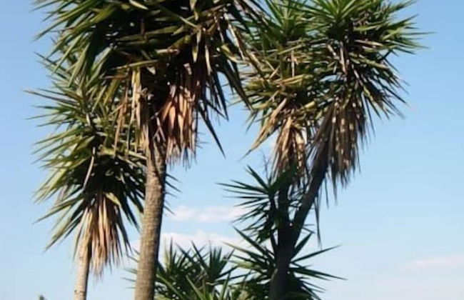 Villa Emily - Foto 43