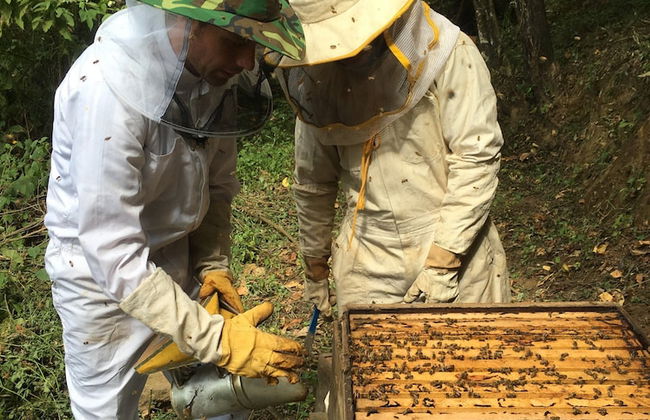 Finca El Tambor - Foto 44