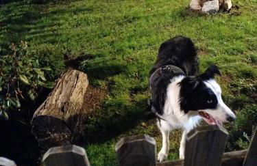 Charming House in Parada with Large Garden - Foto 64