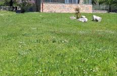 Olympus Mountain House - Foto 1