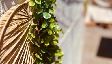 Sofia's house - Foto 5