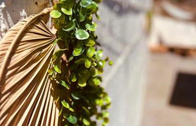 Sofia's house - Foto 5