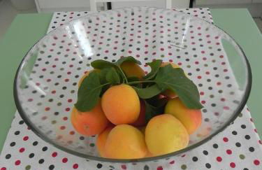 Explorer's Rest - Foto 36