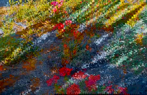 Bonora Country Houses - Askeri - Foto 23