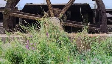 Wohnung am Wasserrad - Foto 5