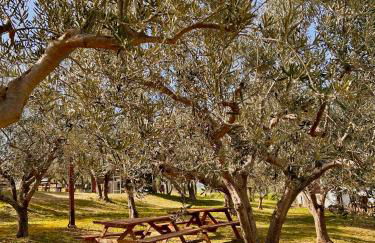 oasi macerina - Foto 58