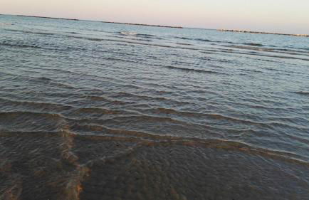 Residence Adriatico - Foto 64