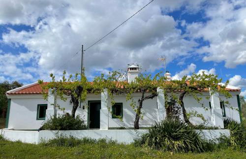 Tapada da Figueira by NaturAlegre - Foto 16