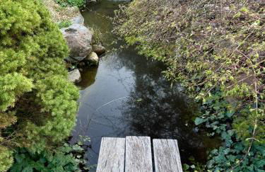 Ferienhaus am Mescheriner See - Photo 4