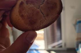 Casa Trekking Salento Marittima Di Diso - Foto 31