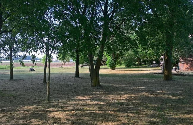 Agriturismo Cipolli e Podò Corte Carlini - Foto 32