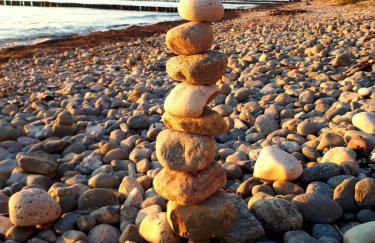 Ferienwohnung Boddenzander - Foto 25