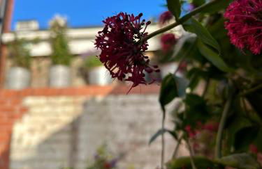 Downshire Haven - Foto 45