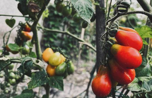 Domek na wsi kieleckiej - Foto 16