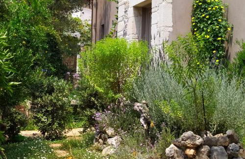 Olive Lemon Biophilic House & Lush Forest Garden - Foto 35