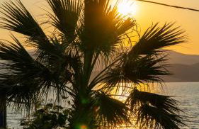 suite apartment Αdonis - Foto 18