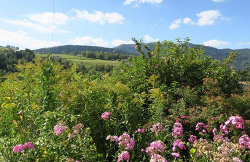 Gîte de famille dans les Vosges - Foto 7