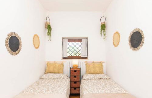 Rosellina Gialla Assisi Oasi di pace in collina - Foto 35