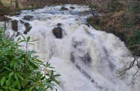 Seaview cottage North Wales - Foto 48