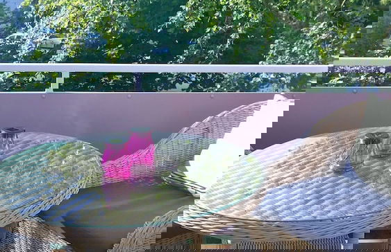 Ostsee Micro Ferienappartements - Foto 22