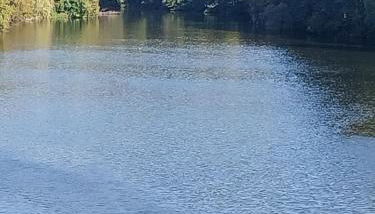 La maison d'Innes - Foto 4