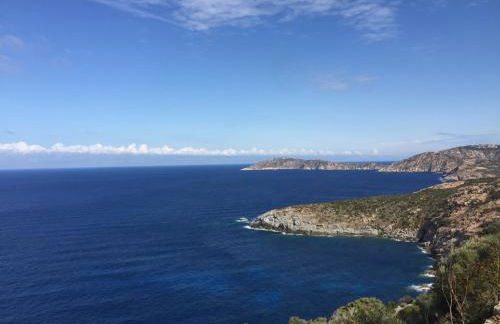 LE Cabanon des hirondelles - Foto 49