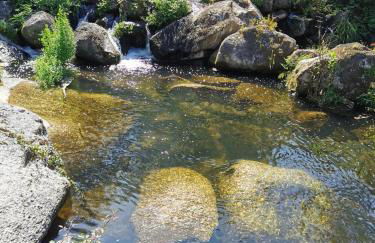 O Refúgio - Foto 62