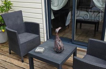 Maison avec Spa en bord de mer - Foto 20