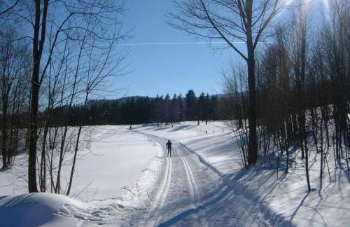 Ferienwohnung Bärnbachl - Foto 27
