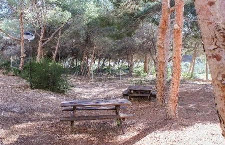 Altos de Campoamor - Foto 27