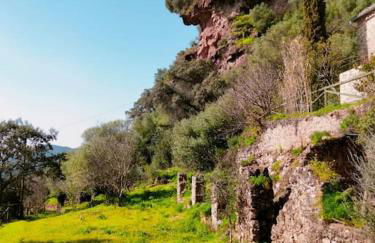 La Flor De La Xara - Foto 19