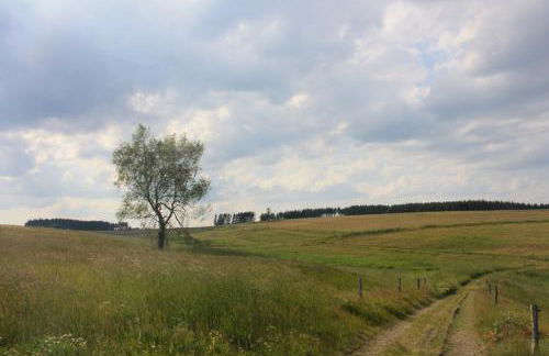 Harzhaus Drei Hexen - Foto 65