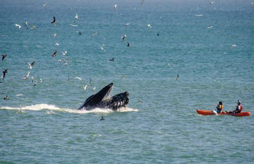 Oakwood Lodge - Foto 41