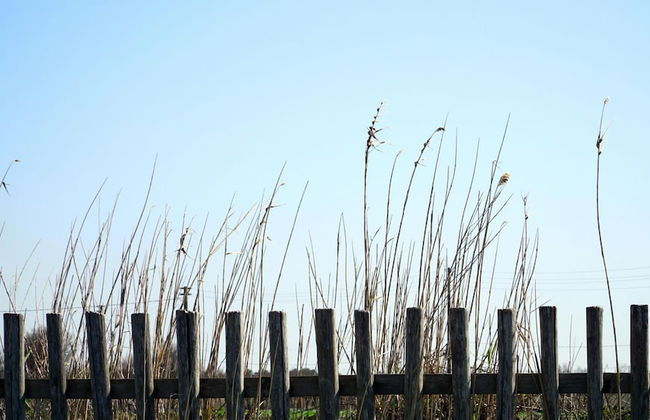 Blue Sea - Villa Maestrale 50 - Locz - Foto 36